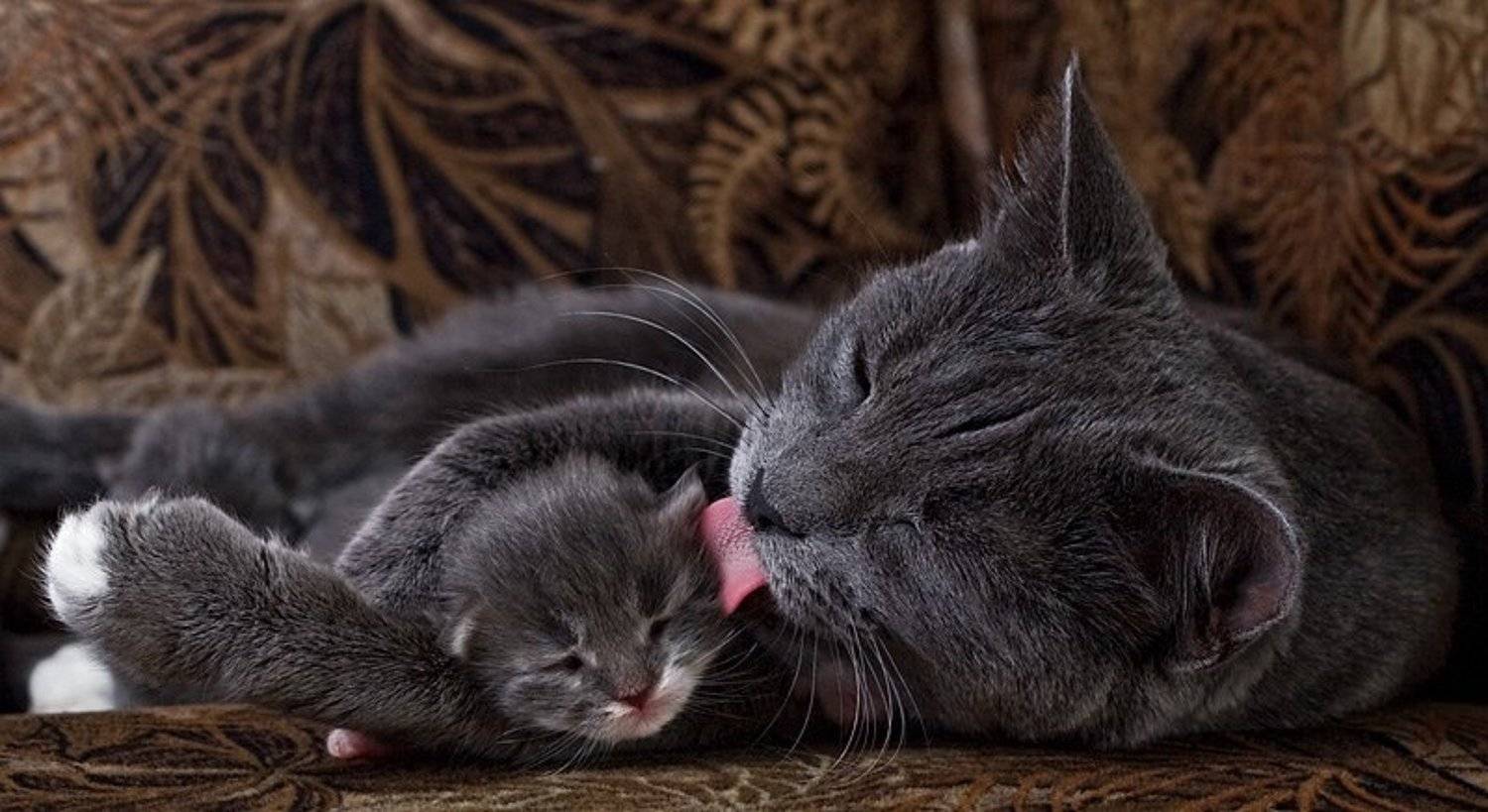 Автор: Анна Круглова , Анна Круглова