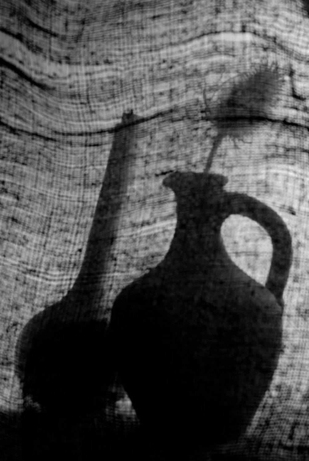 натюрморт, Sergey Tarba