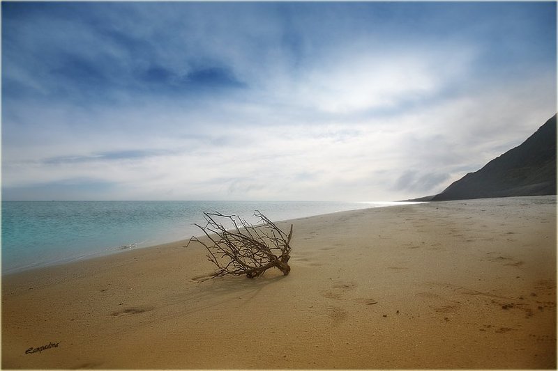 красное море, египет, остров забаргад, пляж, ветка, одиночество Еще раз про Забаргад (или философия необитаемого острова)photo preview
