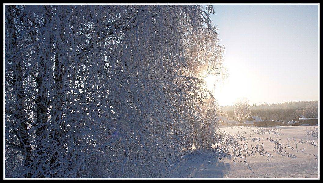 Берендеево царство.. Автор: Сергей Сорокин , Сергей Сорокин