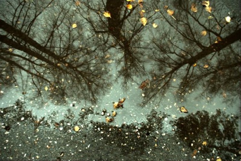 академгородок,осень,ноосибирск,отражение photo preview