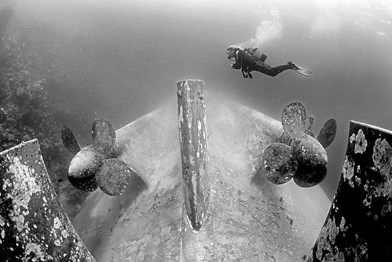 В поисках приключенийphoto preview