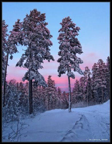 Средь зимнего 