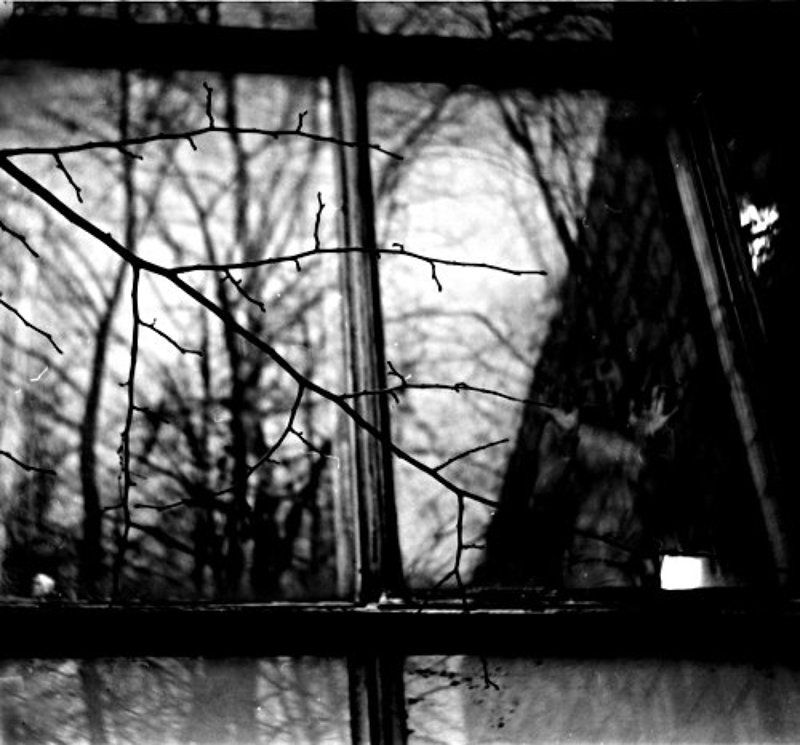 В отраженьях незнакомкаphoto preview