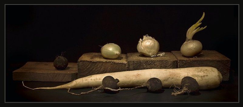 натюрморт, абаджян, дайкон, редька Дайкон и редьки.photo preview