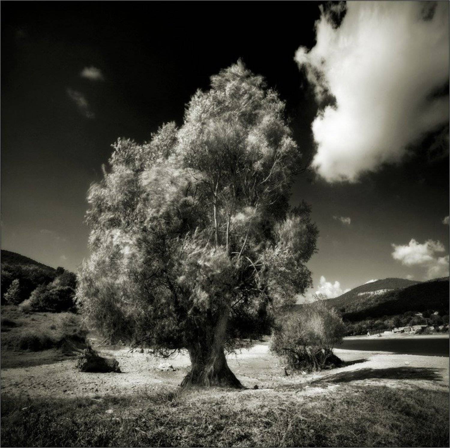 л у к о м о р ь е. Автор: Ivan Dzyuba пейзаж, Ivan Dzyuba