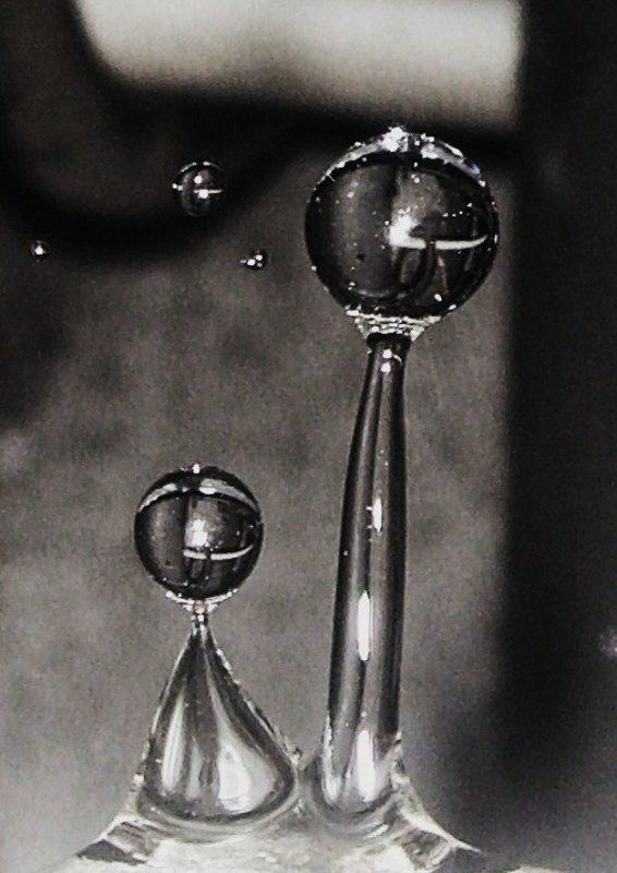 капельки ониphoto preview