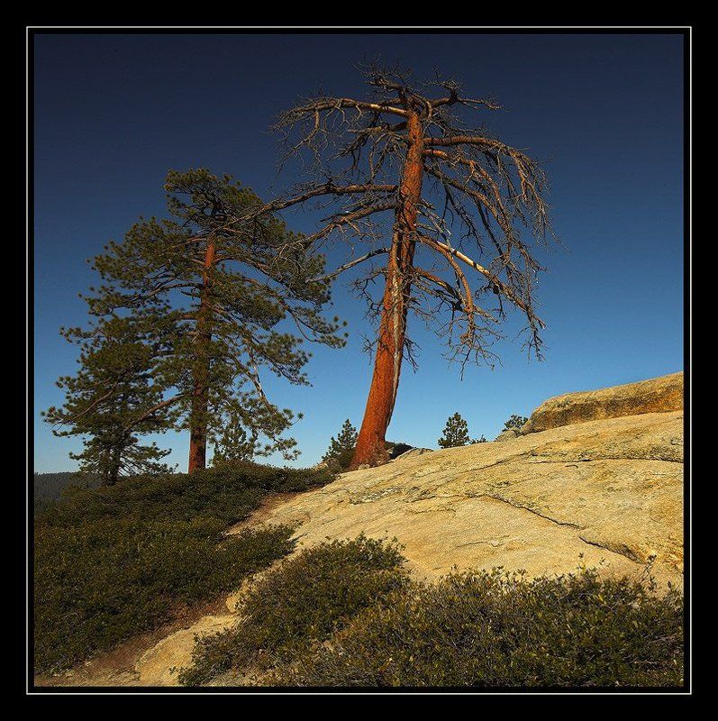 Нудистphoto preview