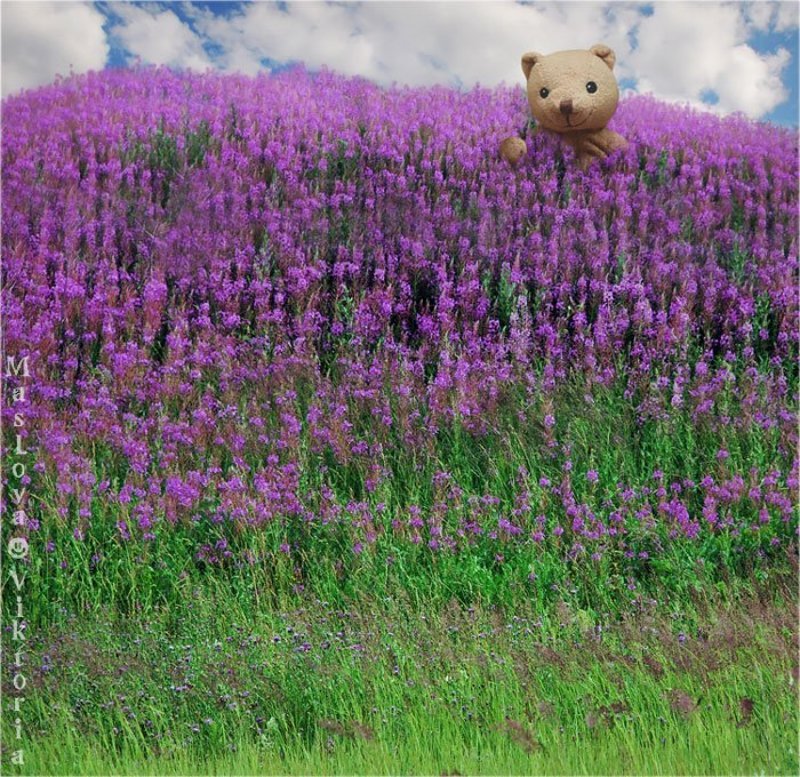 Кусочек летаphoto preview