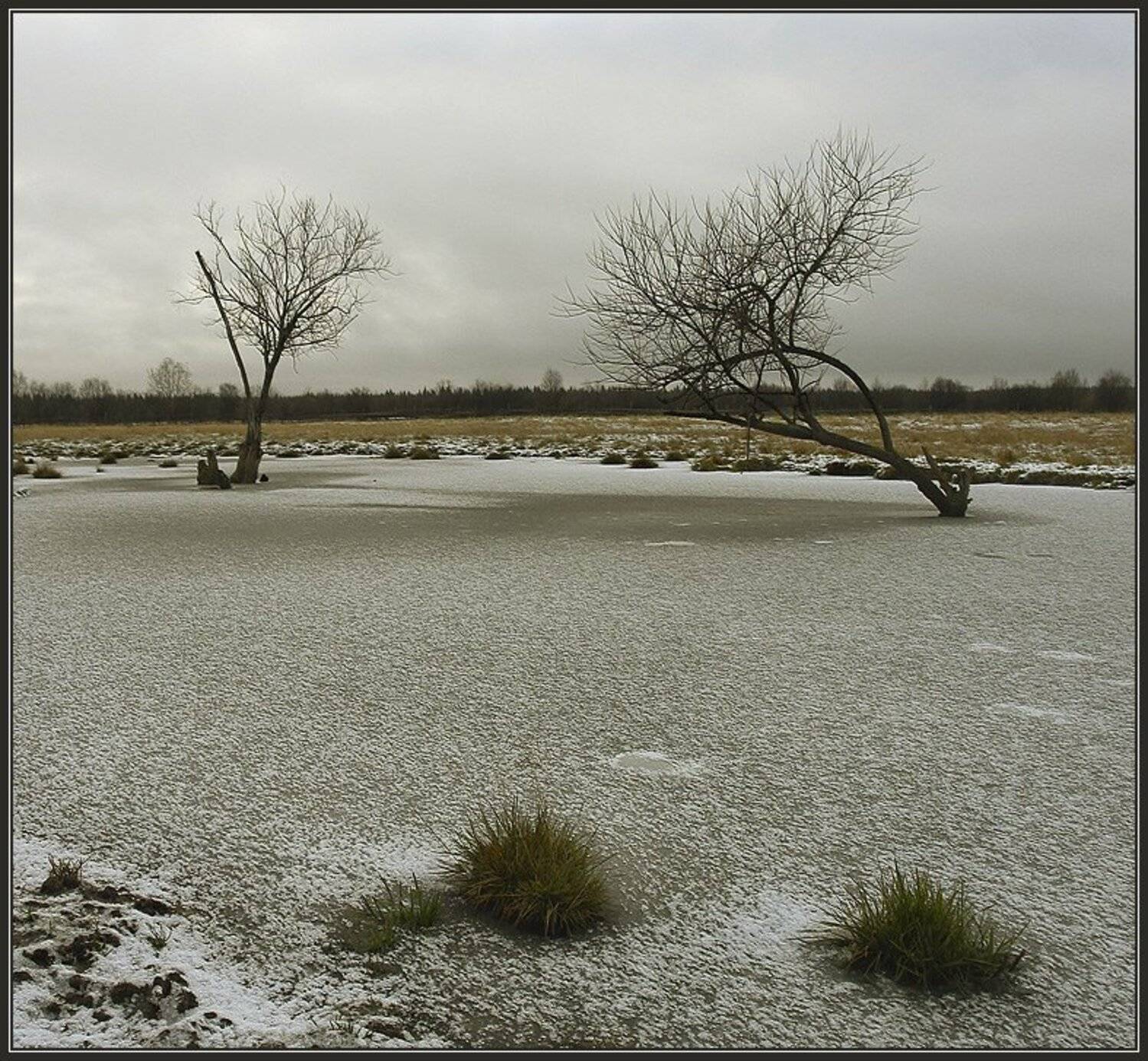 Первый мороз. Автор: Зайцев Владимир , Зайцев Владимир