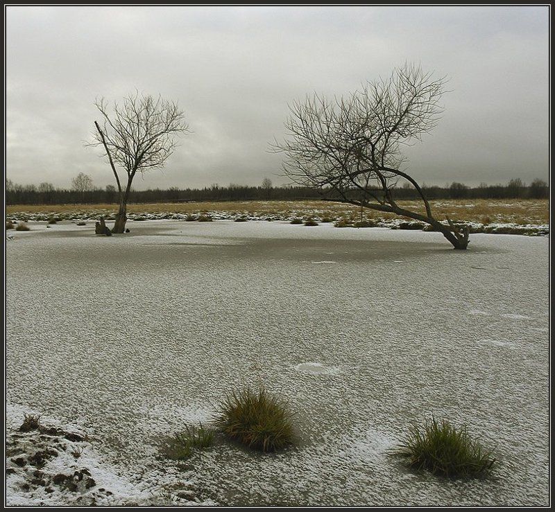 Первый морозphoto preview