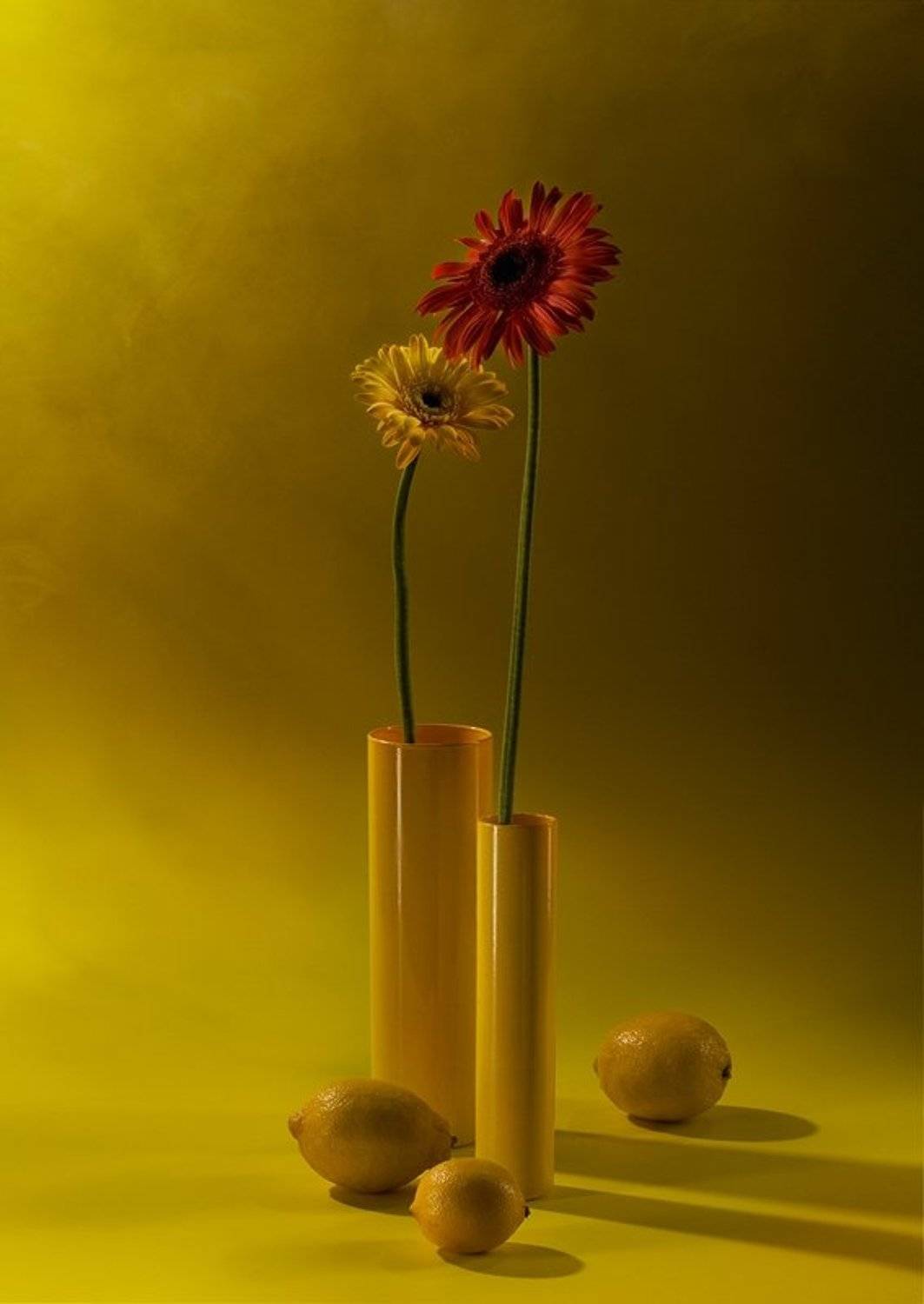 , MikePro (Михаил Гаврилкин)