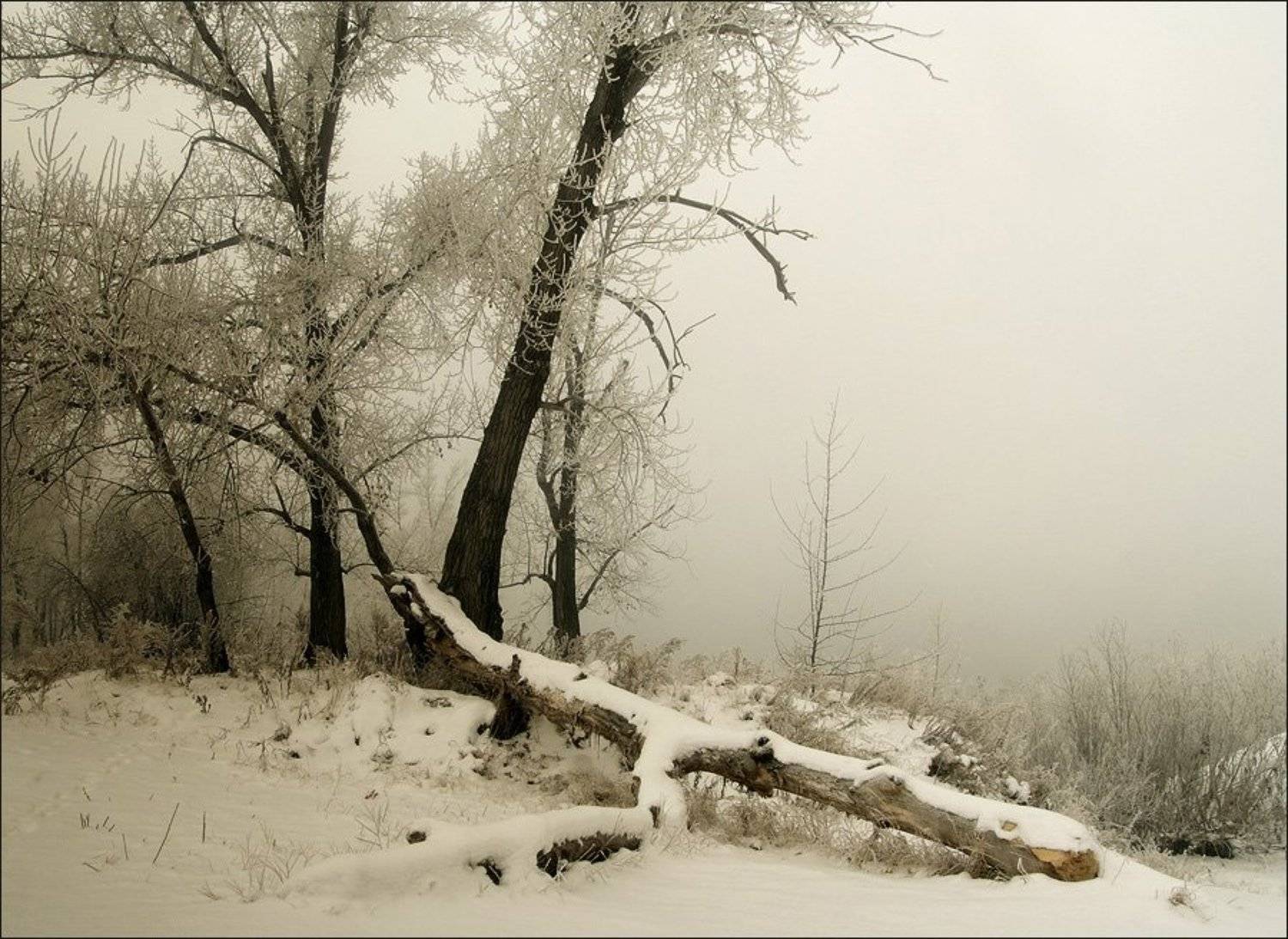 ***. Автор: RaaDen , RaaDen