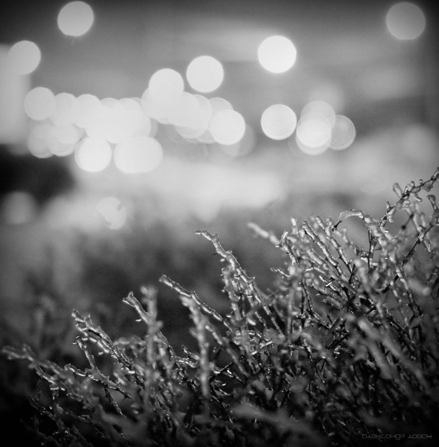 ///\\\. Автор: Александр Лобач , Александр Лобач