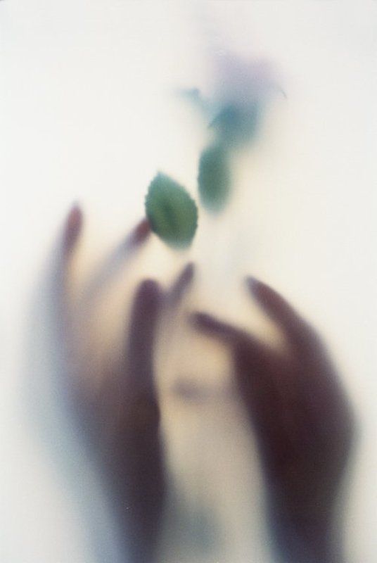 Чувствоphoto preview