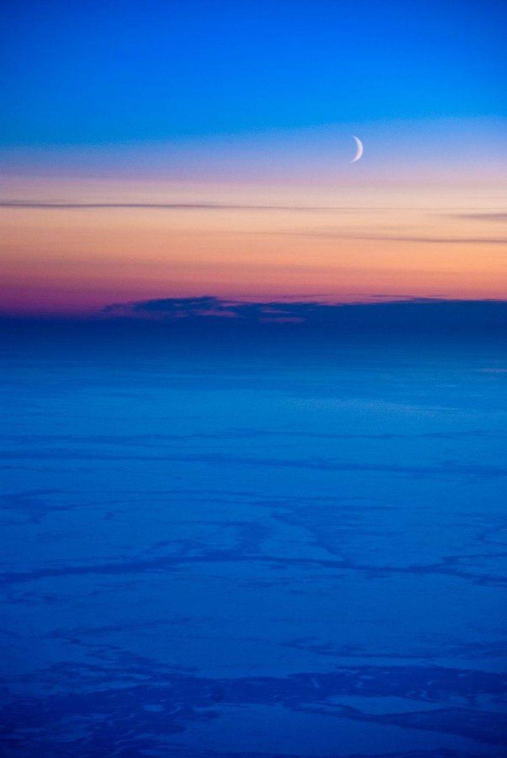 , Дмитрий Милосердов