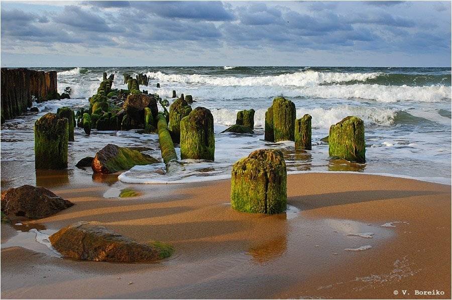 балтика, светлогорск, Вадько