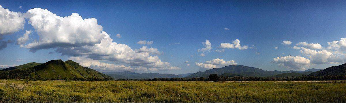 , Дмитрий Корнилов