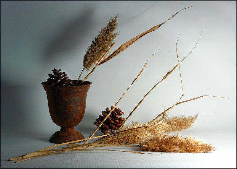 ветренный день декабряphoto preview