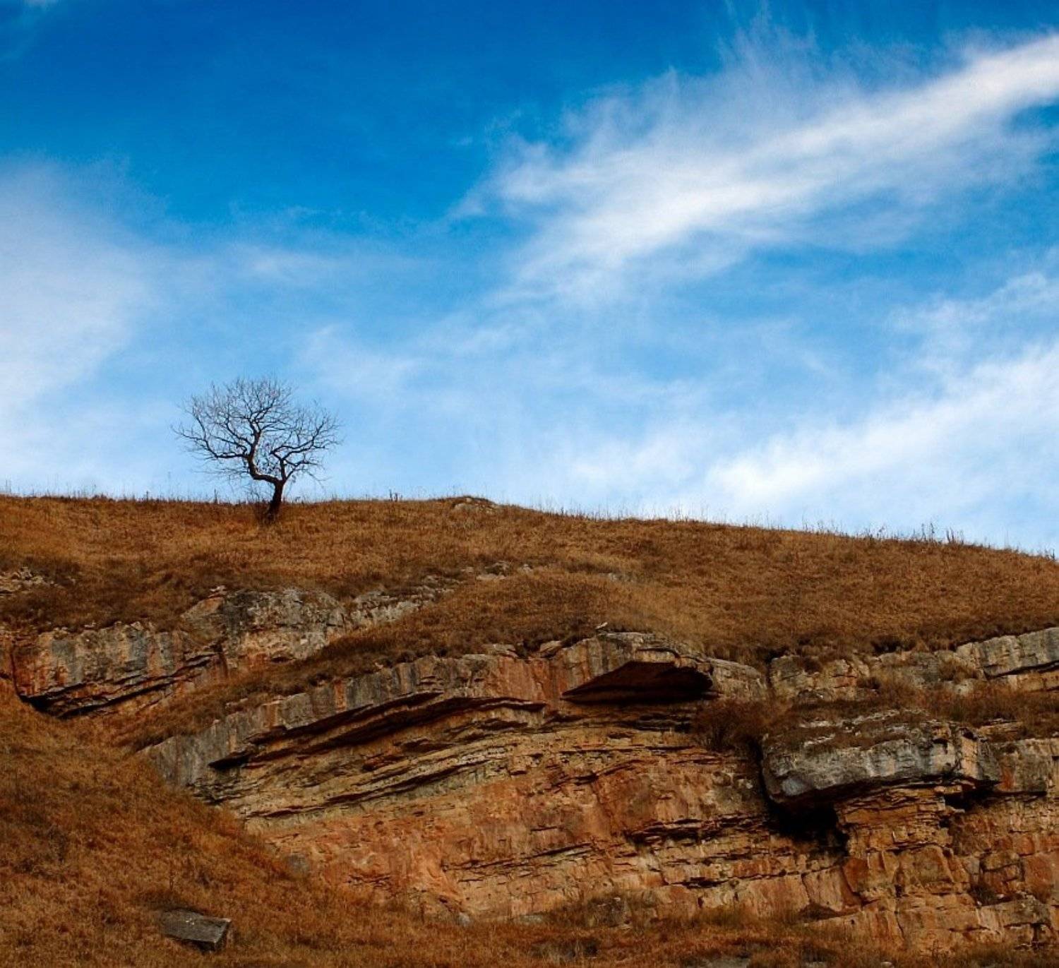 карачаевво-черкесия, плато бермамыт, скалы, облака, дерево, Kaiser Sozo