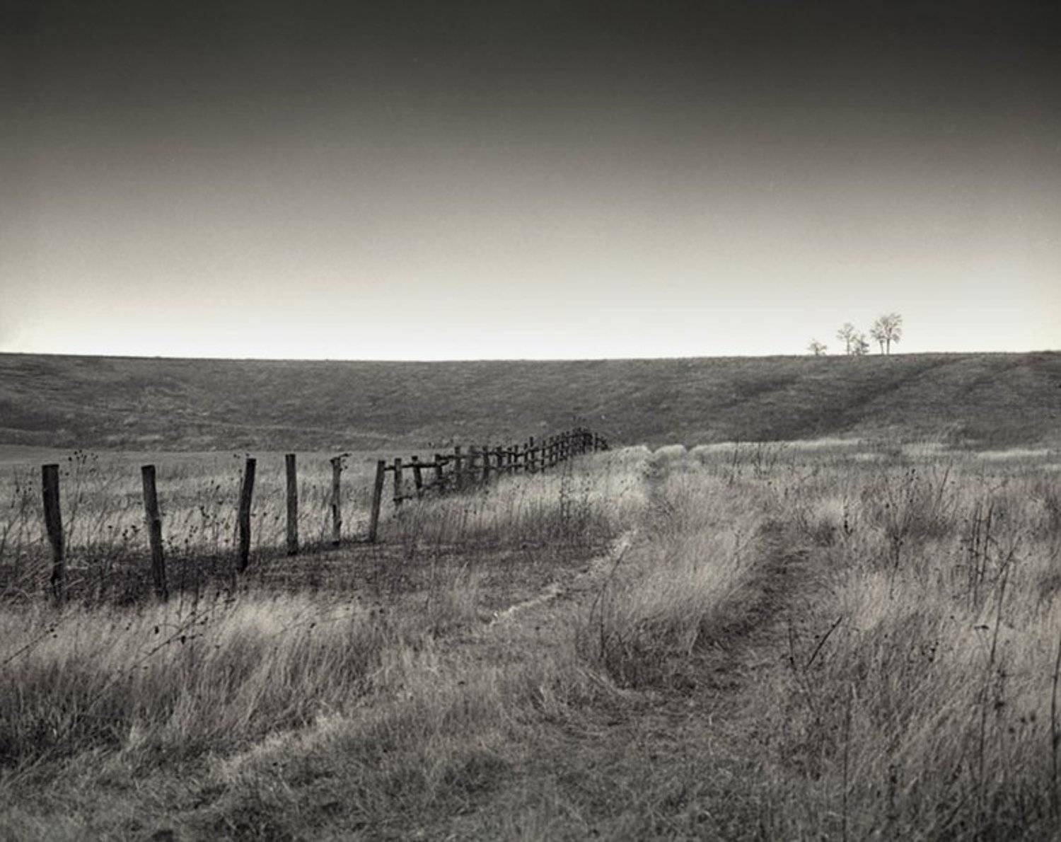 ***. Автор: Токарь Дмитрий , Токарь Дмитрий