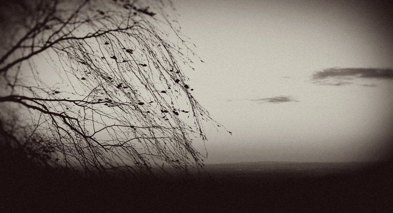 белаяphoto preview