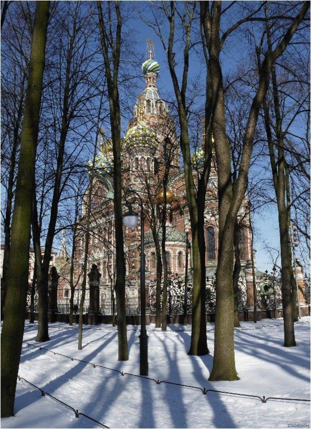 петербург, Алексей (zooooom)