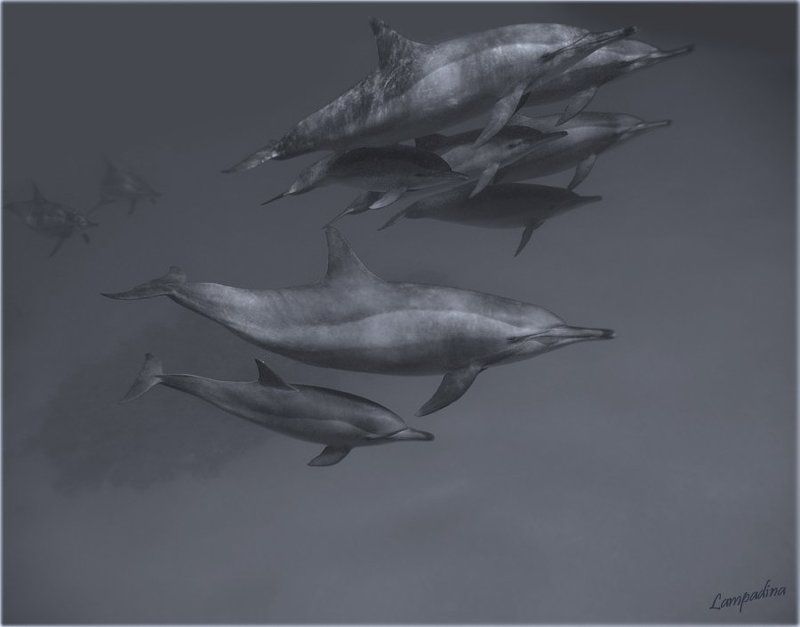 Окунуться в мечту...photo preview