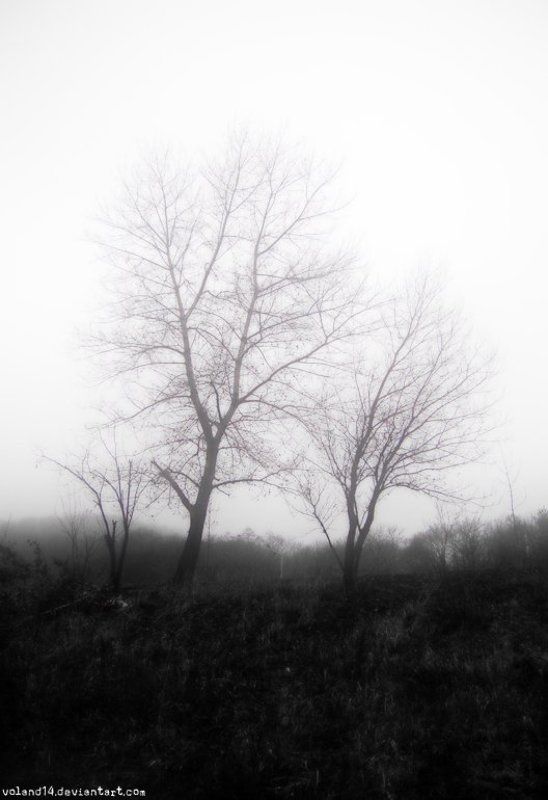 Туманphoto preview