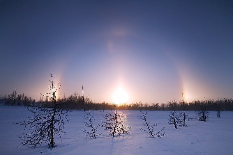 север, природа, солнечное явления, пейзаж Зимняя радуга. северный вариант (гало)photo preview