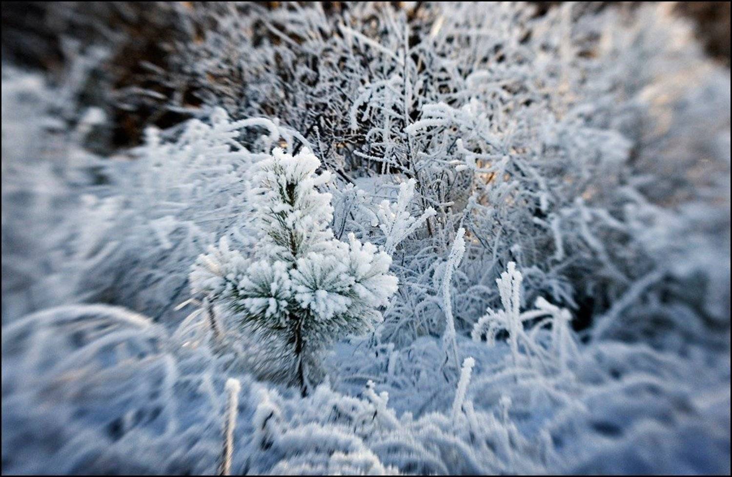Детский сад. Автор: Самолинов Андрей lensbaby, Самолинов Андрей