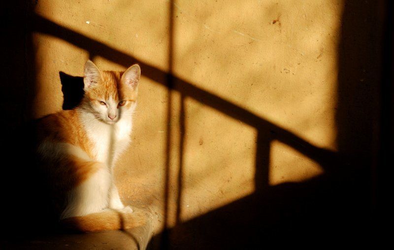 Жизненное пространствоphoto preview