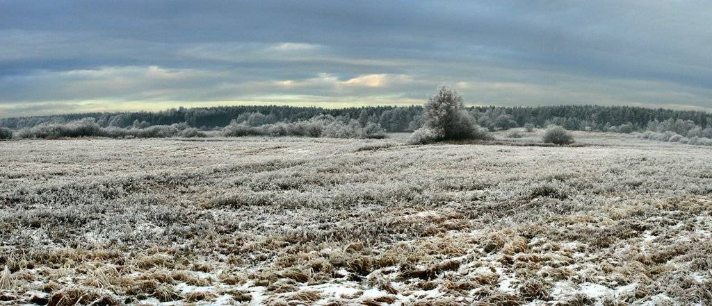 С Новым годом!. Автор: Павел Дунюшкин , Павел Дунюшкин