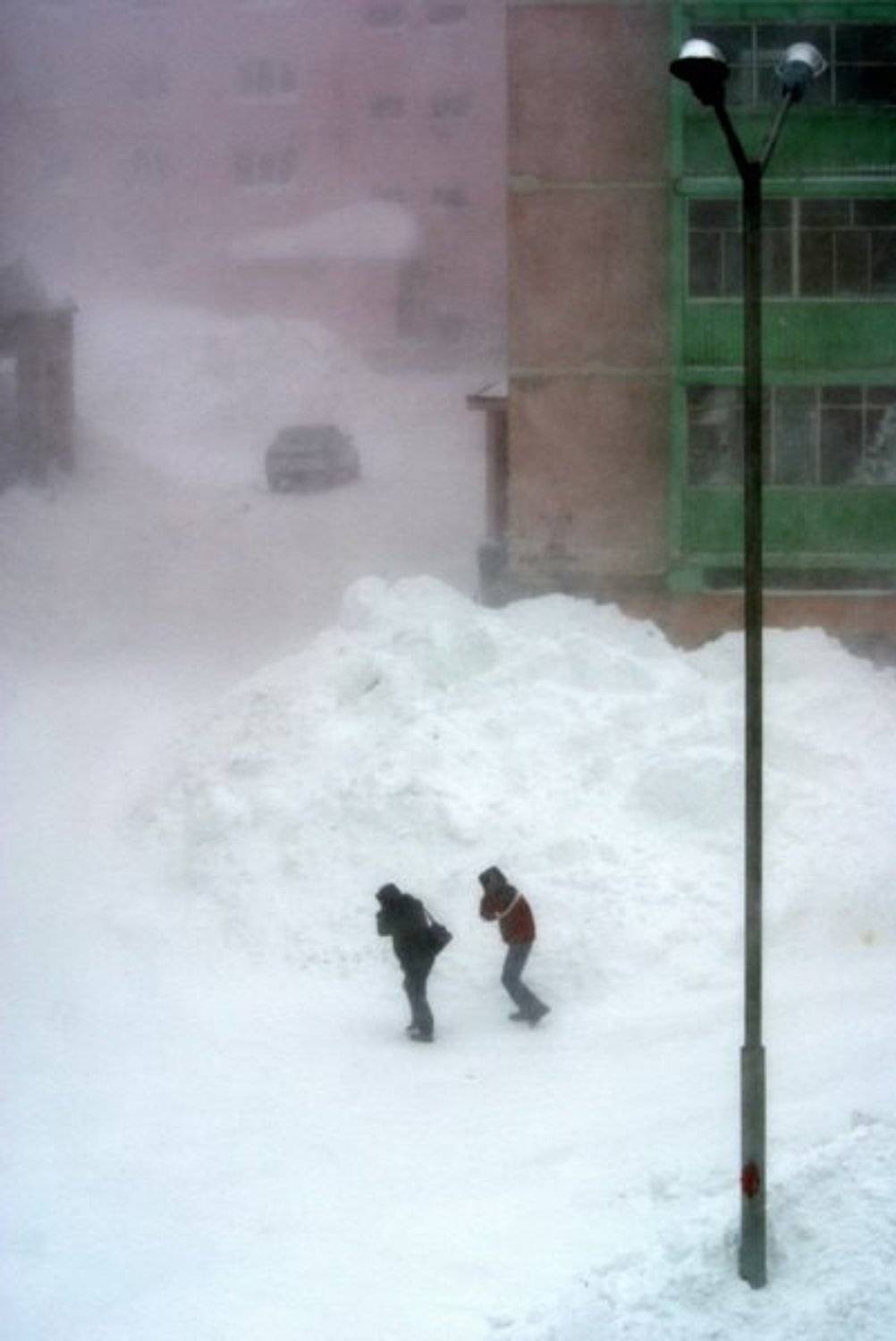 вид из окна. Автор: arkady , arkady