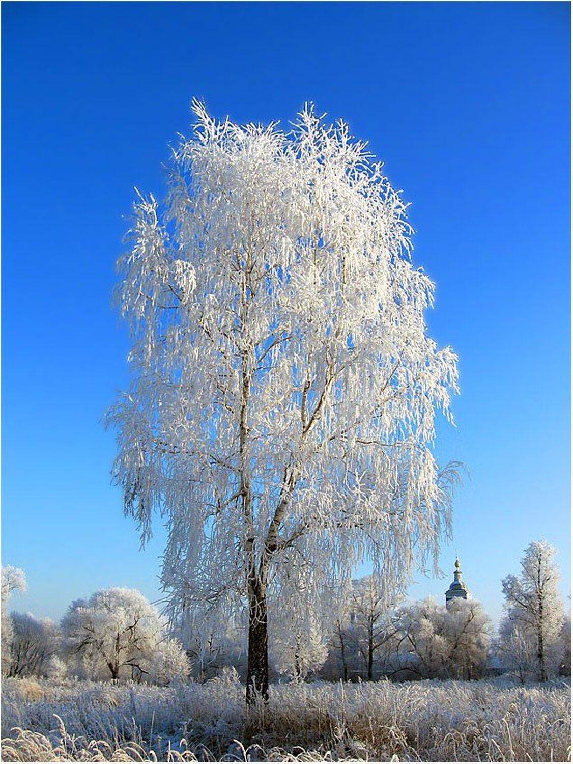 Под небом голубым.... Автор: КарОл , КарОл