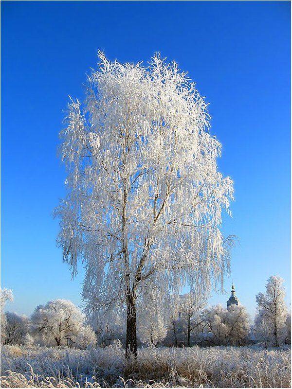 Под небом голубым...photo preview