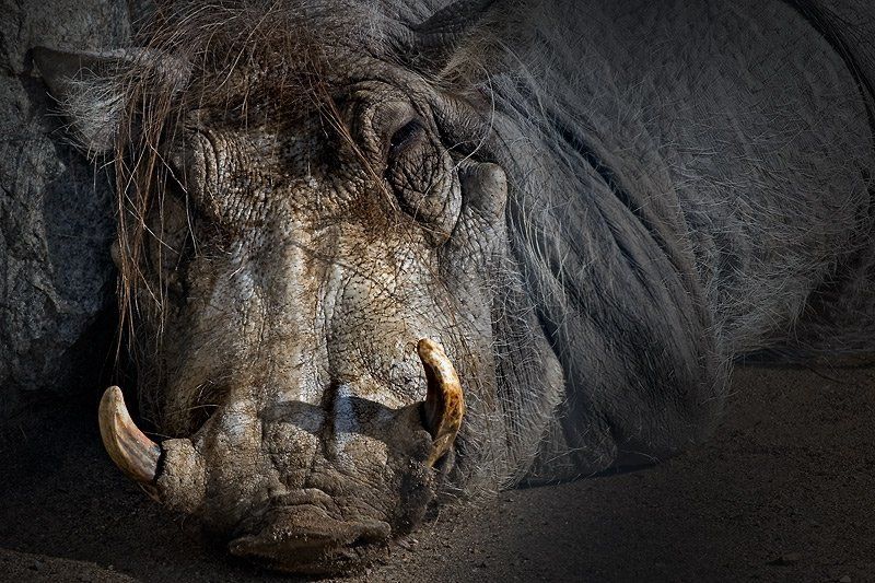 После Нового года...)photo preview