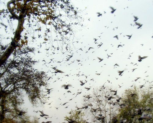 Осень в твоем полушарии.