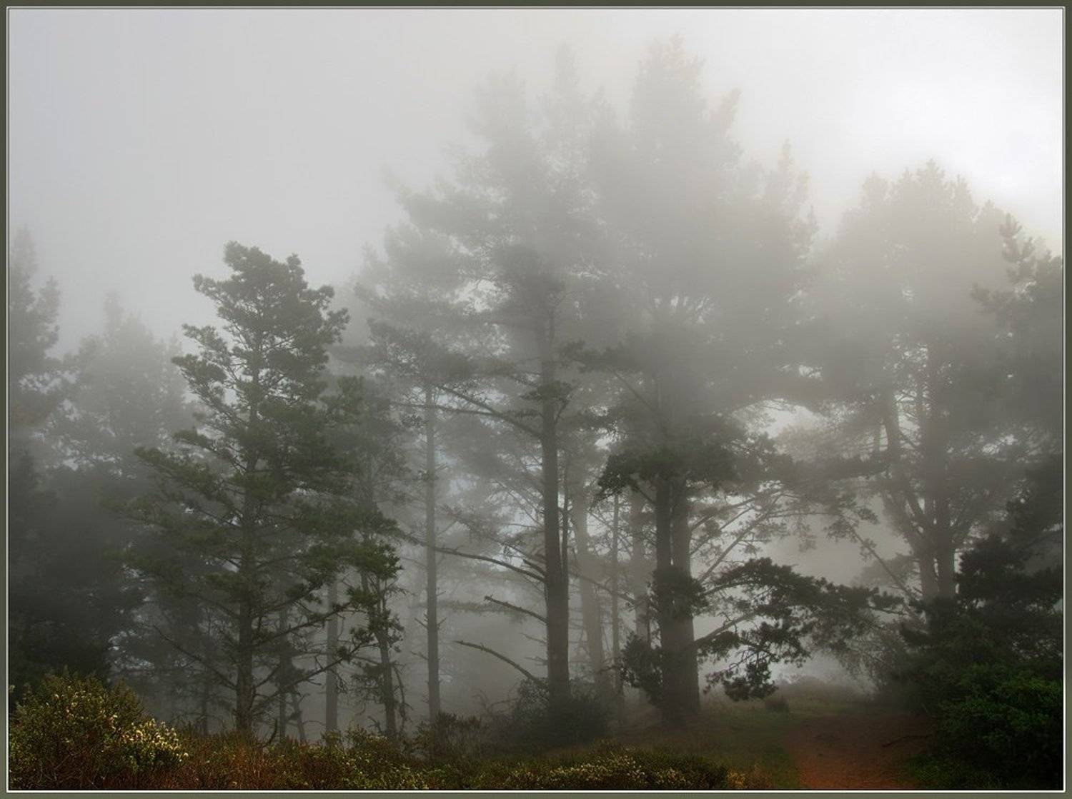 туман, Евгений Иванюшенко