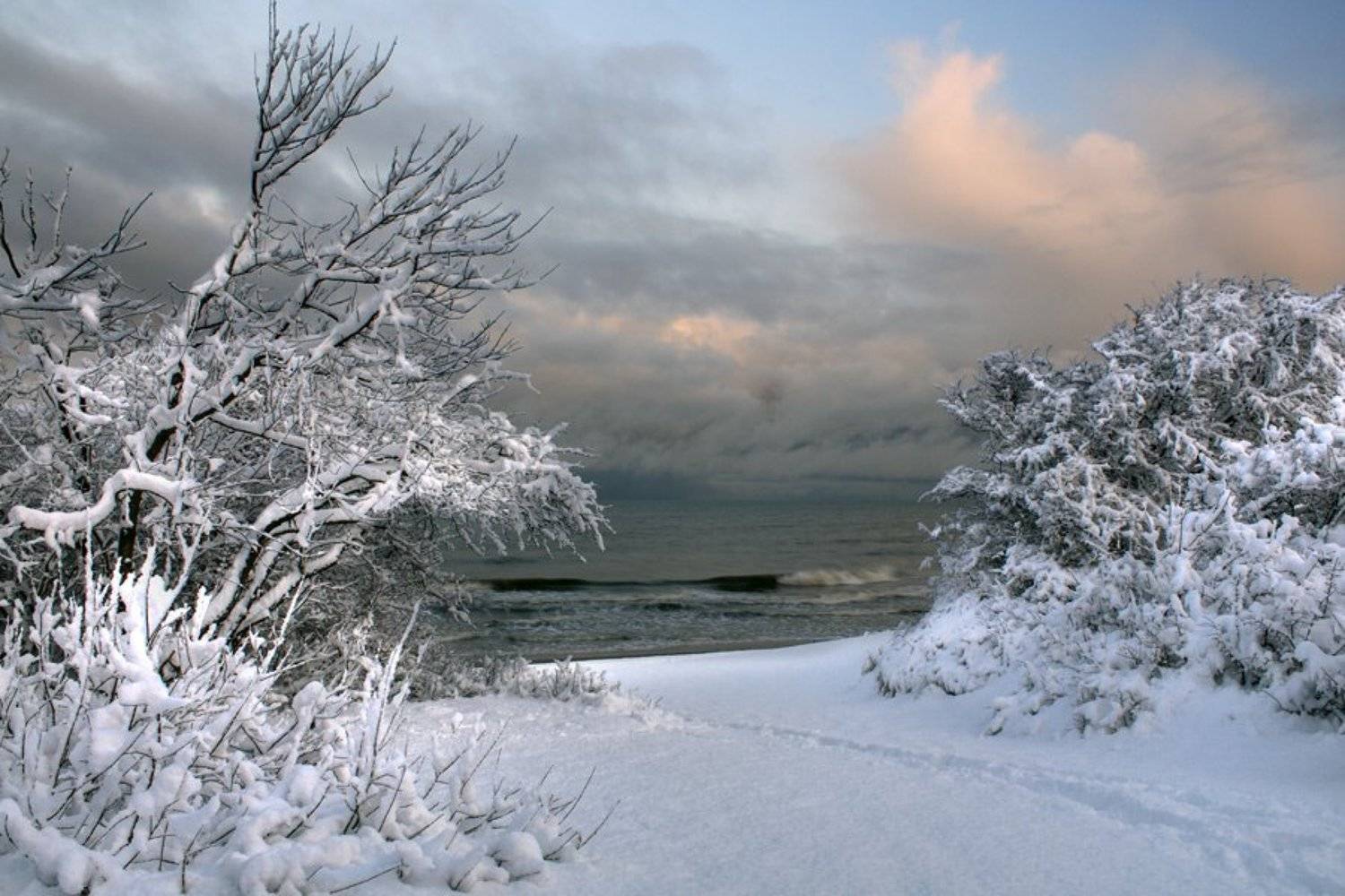 , Павел Дунюшкин