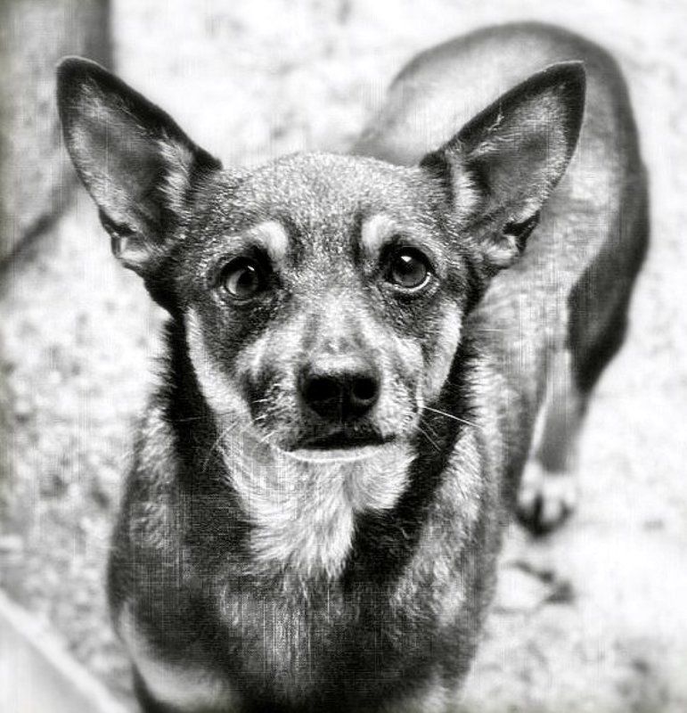 взгляд-скажет больше слов....photo preview