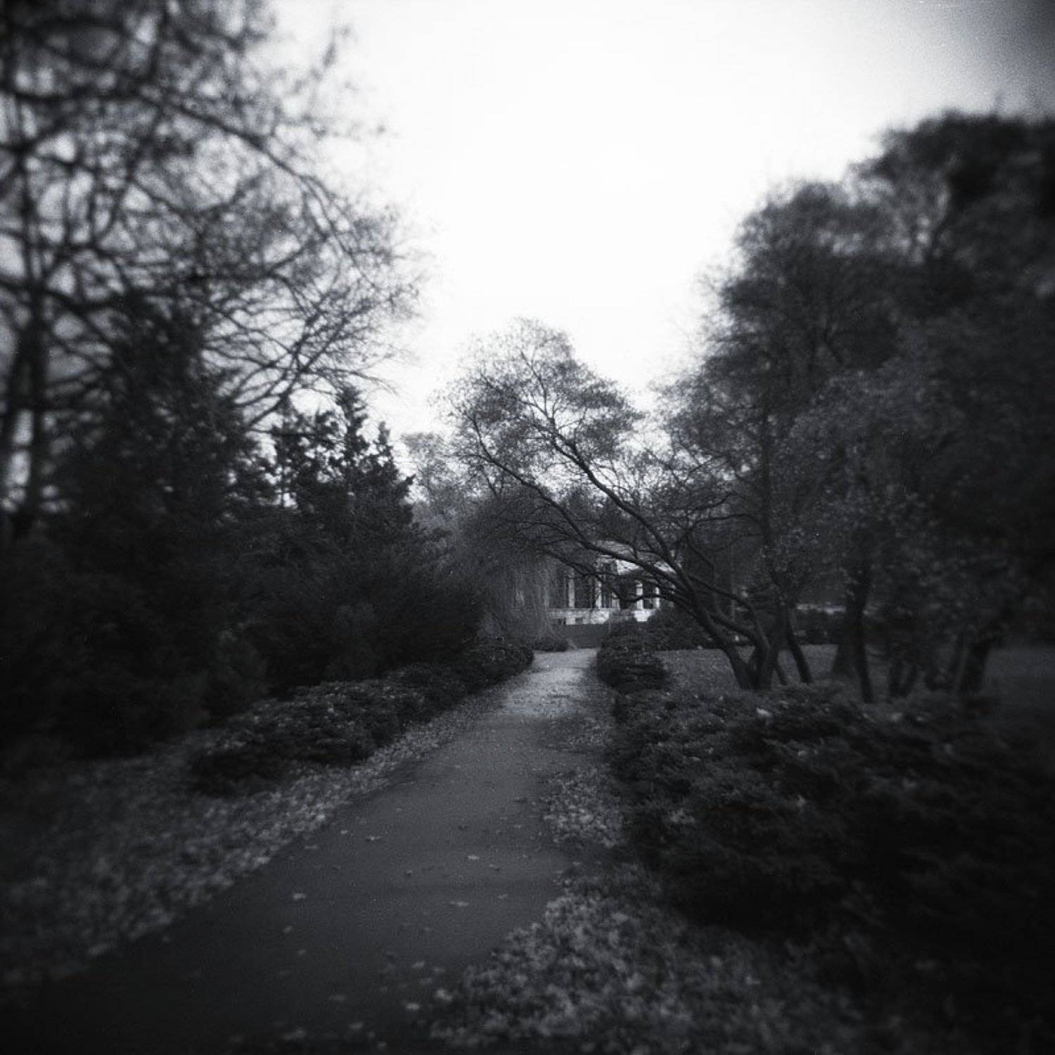 ###. Автор: Olena Savytska пейзаж, киев, вднх, Olena Savytska