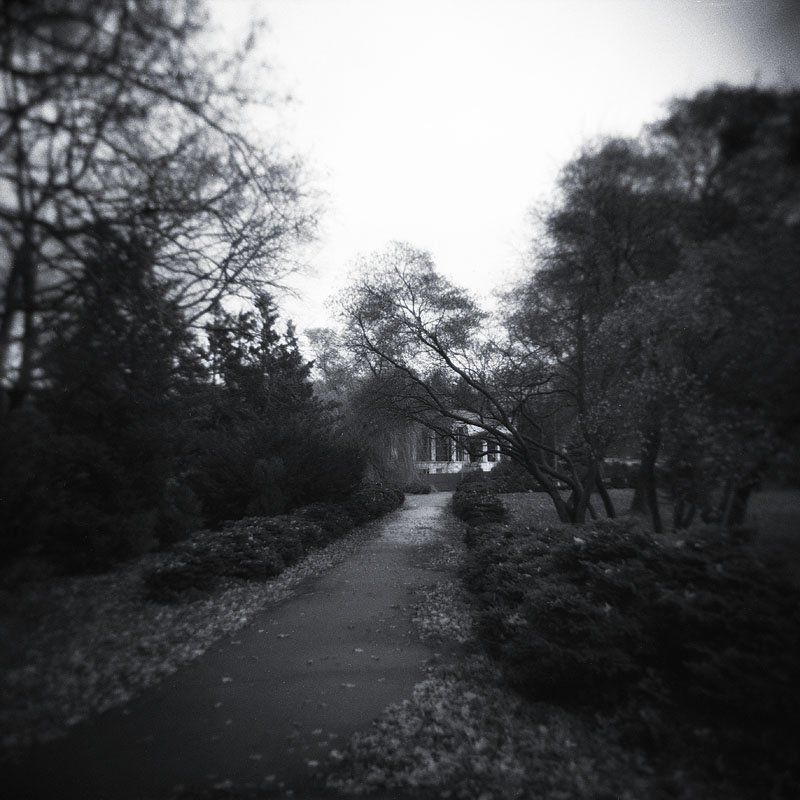 пейзаж, киев, вднх ###photo preview