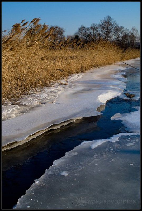 зима, снег Зимнее настроениеphoto preview