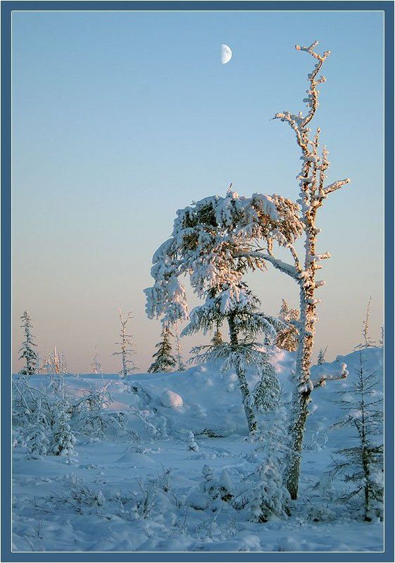 Лунный деньphoto preview