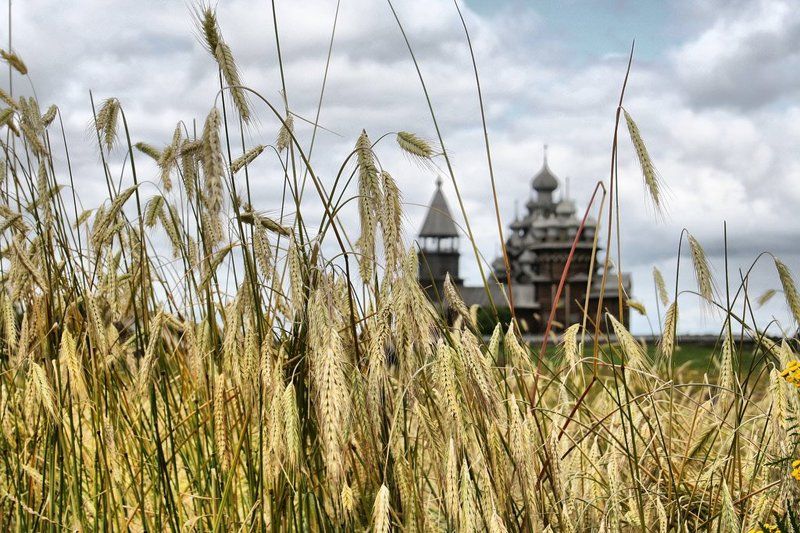 кижи, золото о главном...photo preview