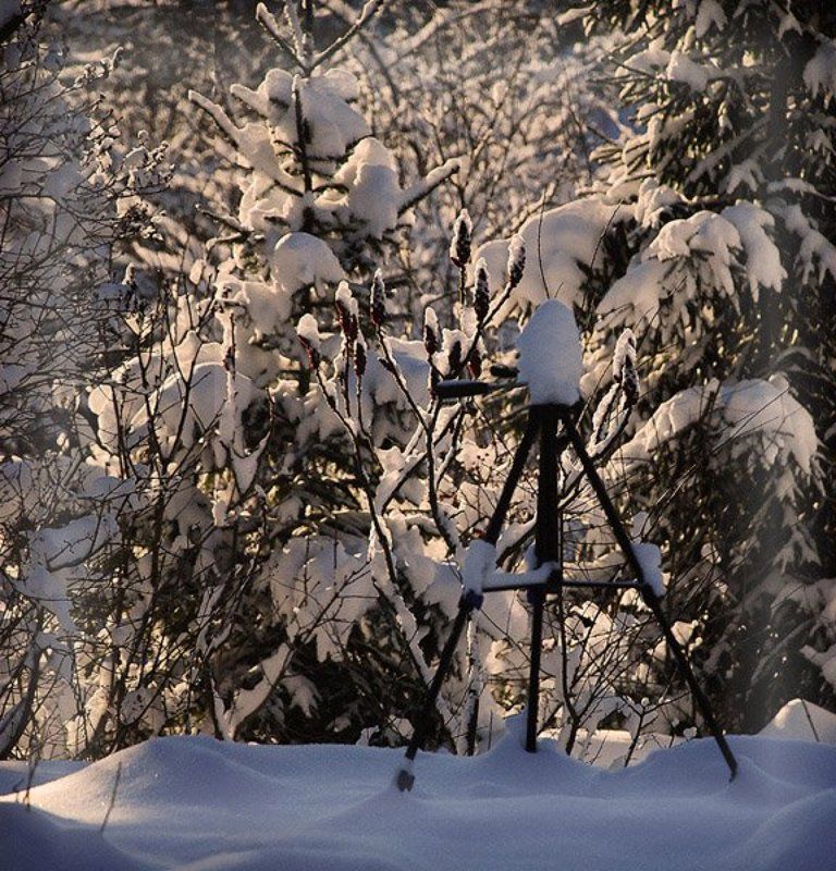 С Рождеством!photo preview