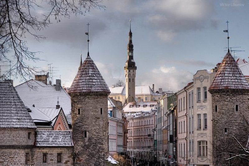таллин, таллинн, tallinn, cityscape, архитектура photo preview