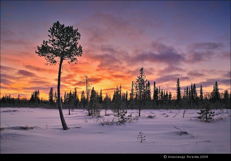 Приветы от солнцаphoto preview