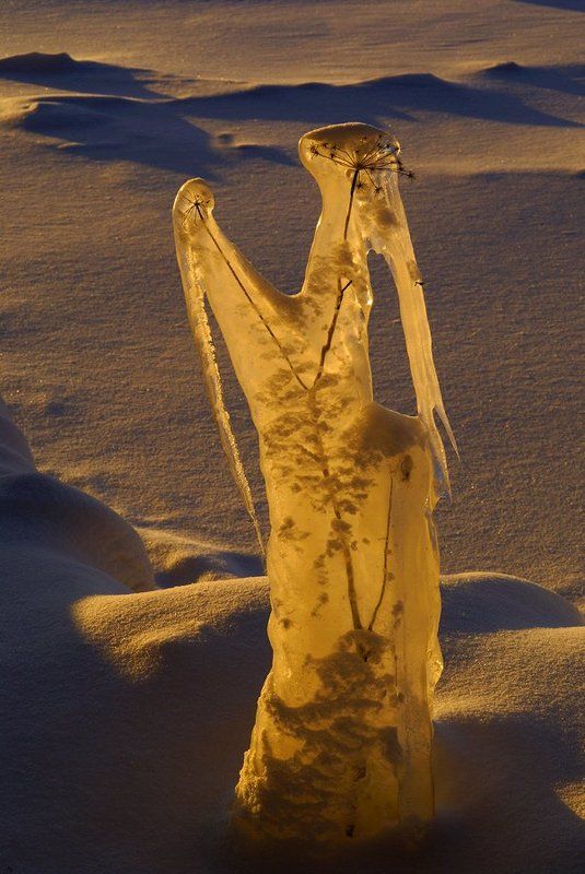 Инопланетянинphoto preview